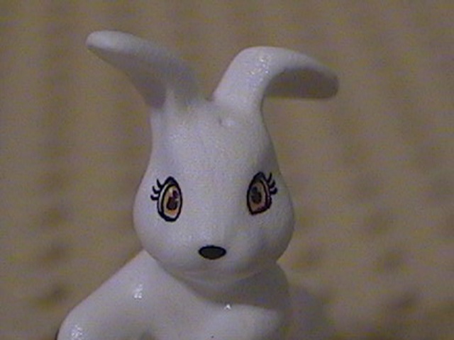 rabbit-face.jpg
