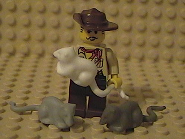 rats-minifig.jpg