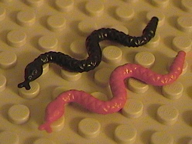 snakes-01.jpg