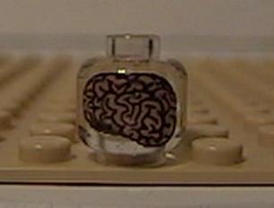 brains01.jpg