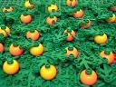 pumpkinpatch03.jpg