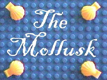 aa-mollusk.jpg