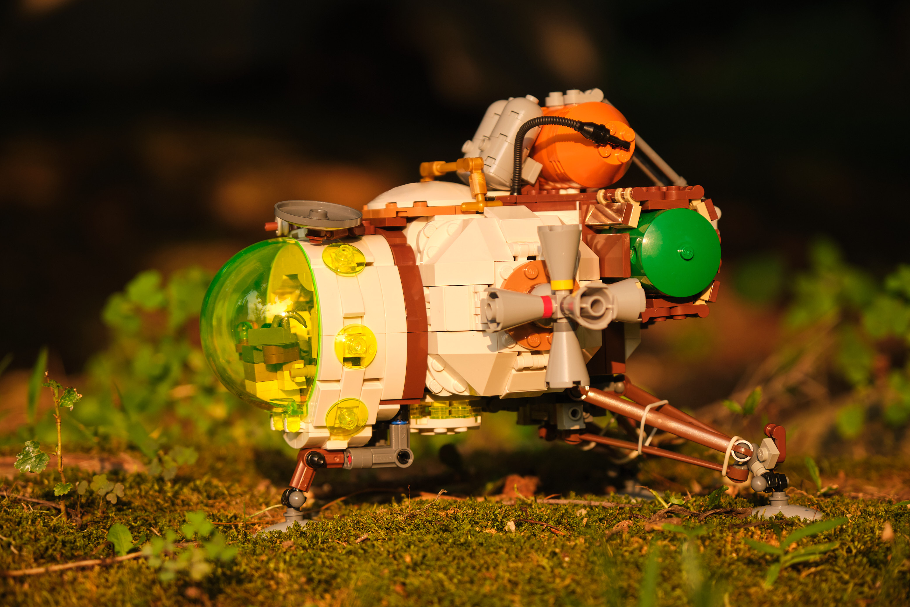 _dsf1158.jpg