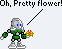 swflower.png