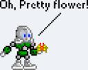 swflower.png