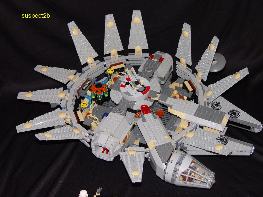 falcon5.jpg
