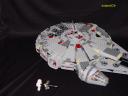 falcon2.jpg