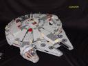 falcon4.jpg