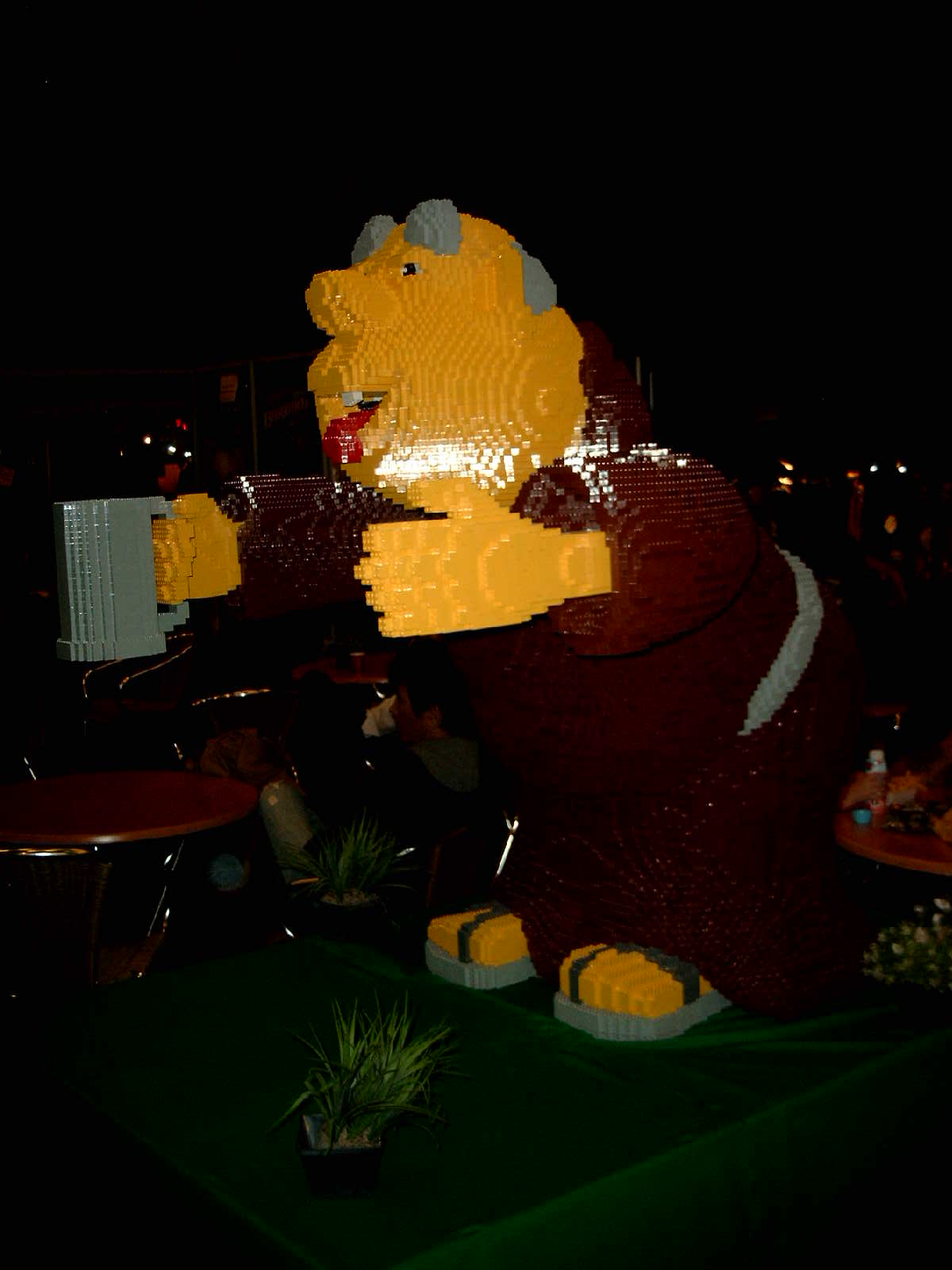 simg0939.jpg