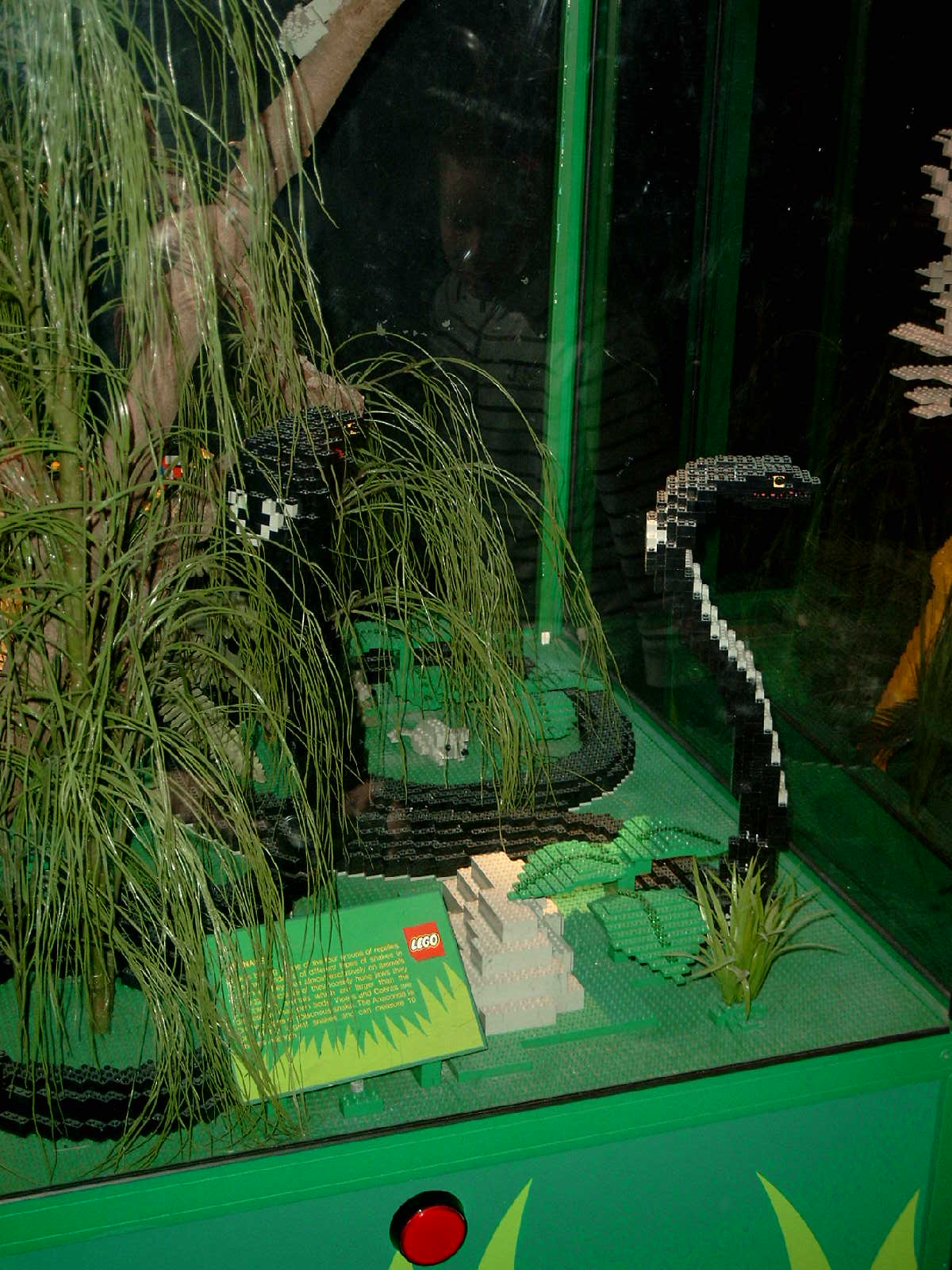 simg0944.jpg