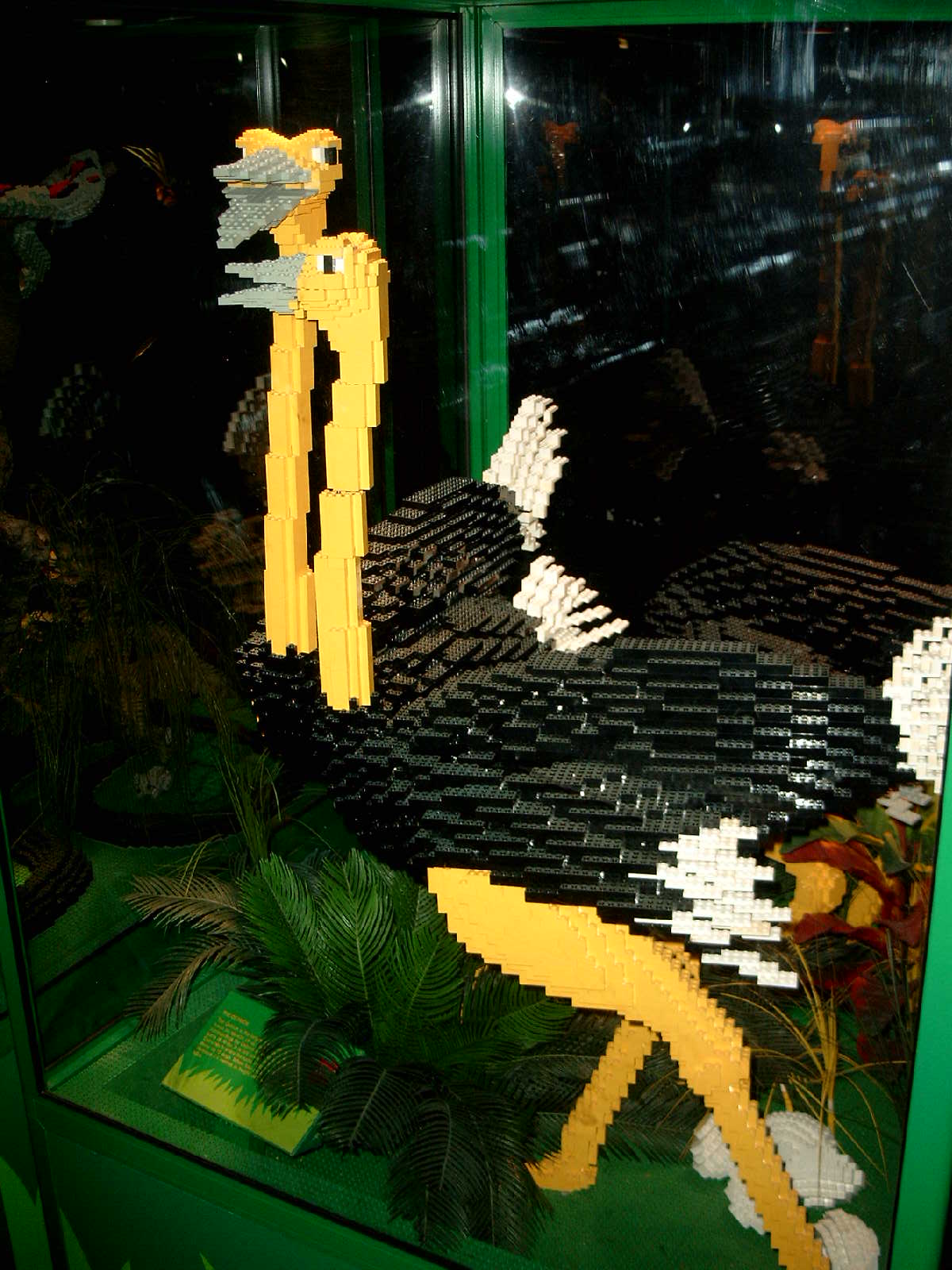 simg0946.jpg