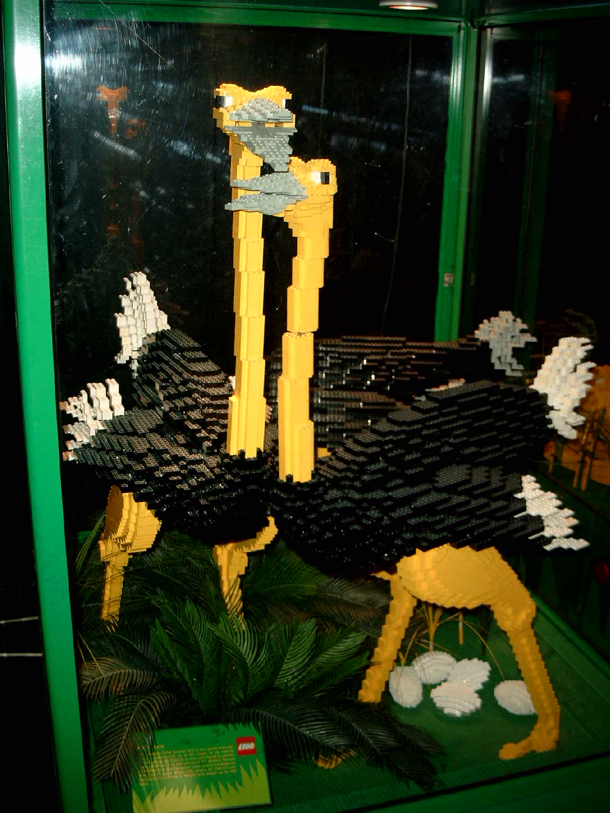 simg0947.jpg