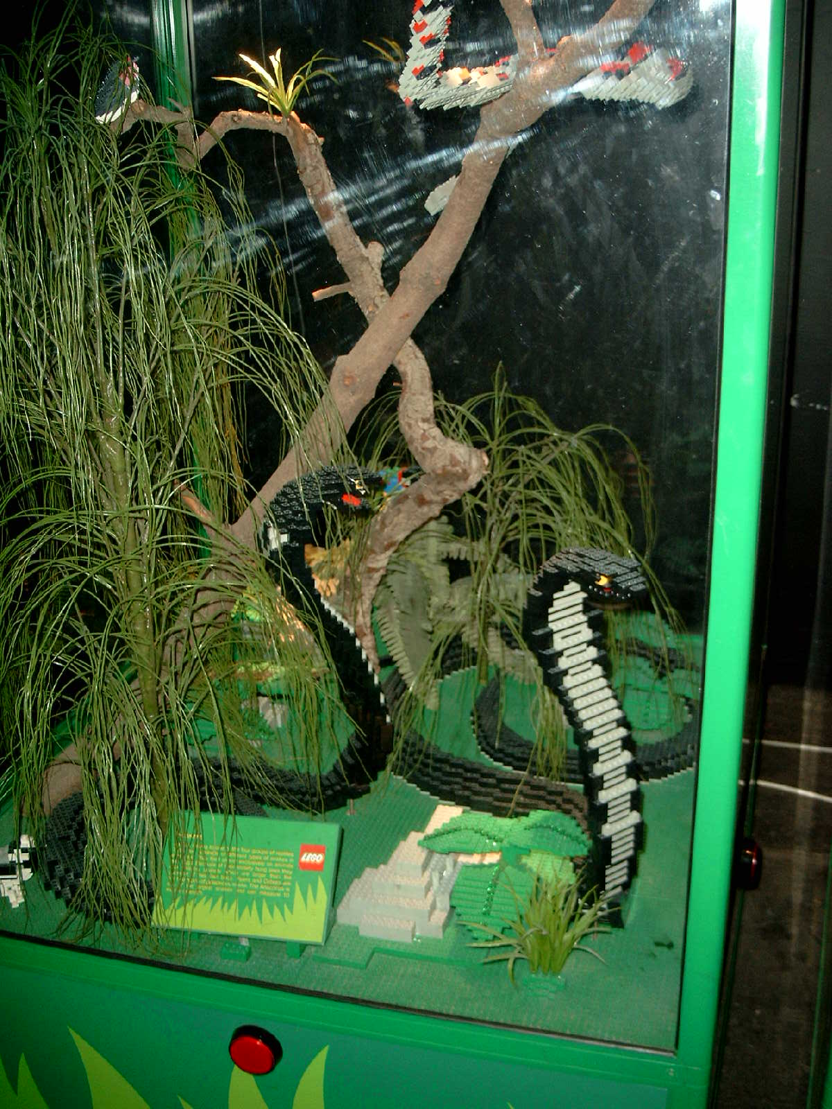 simg0948.jpg