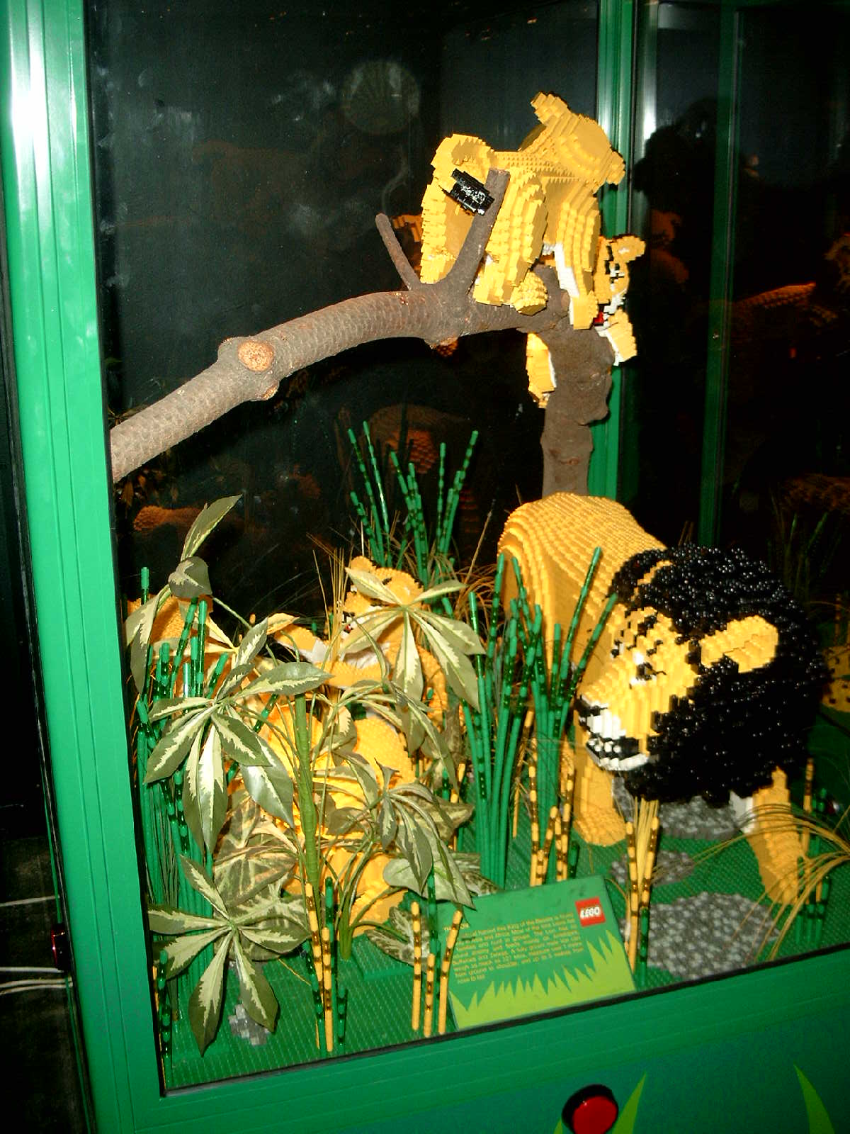 simg0949.jpg