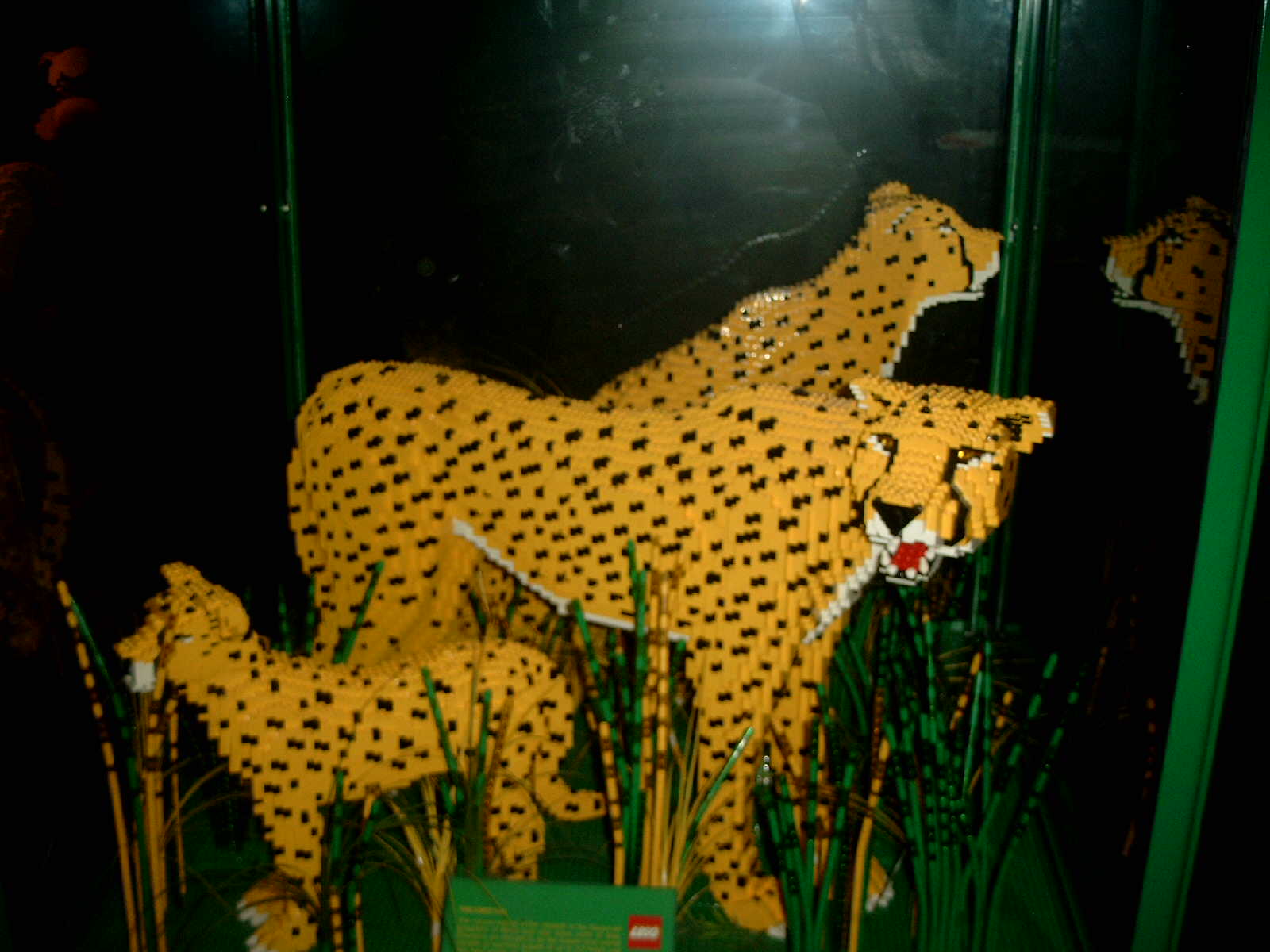 simg0951.jpg