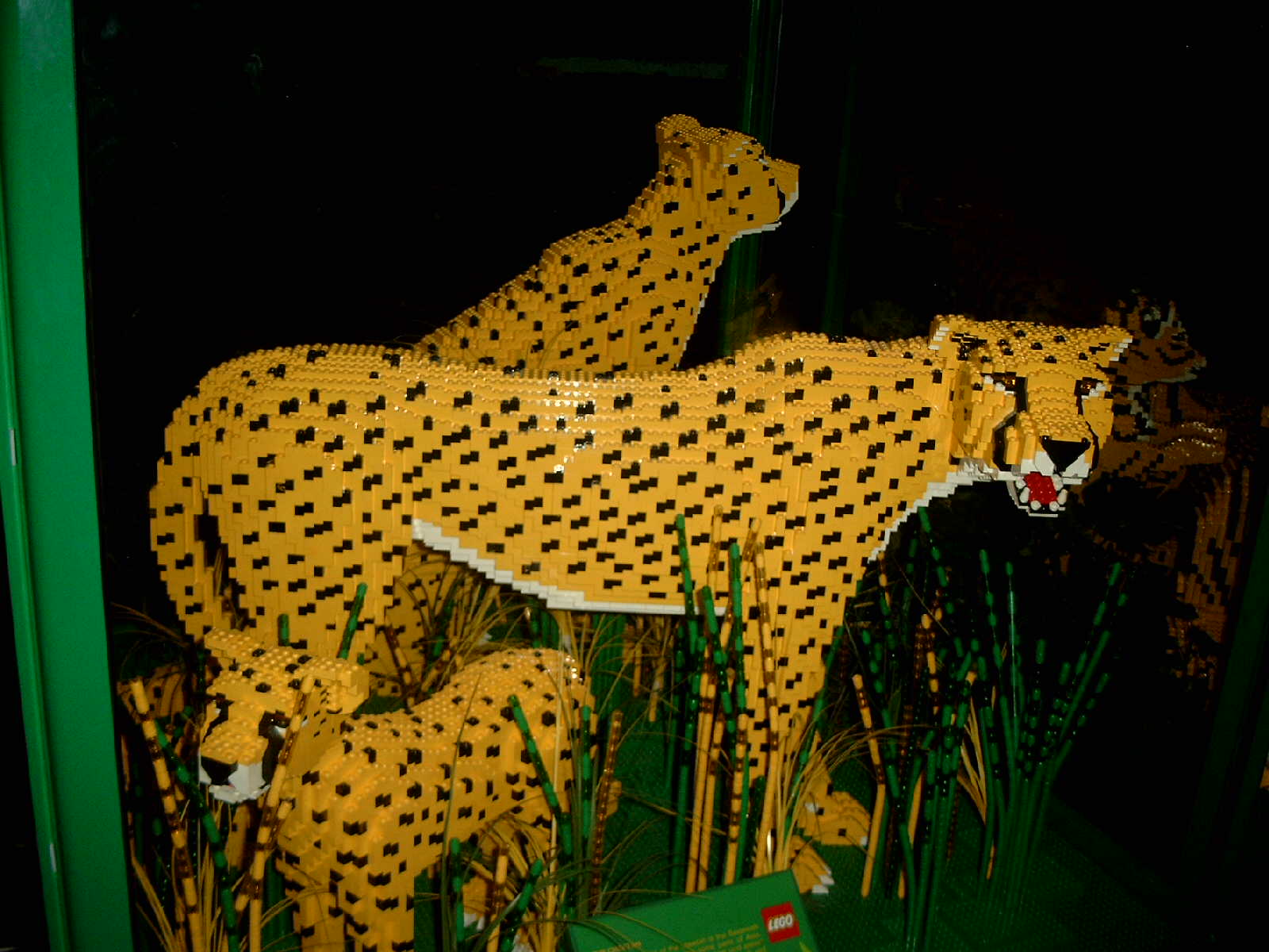 simg0952.jpg