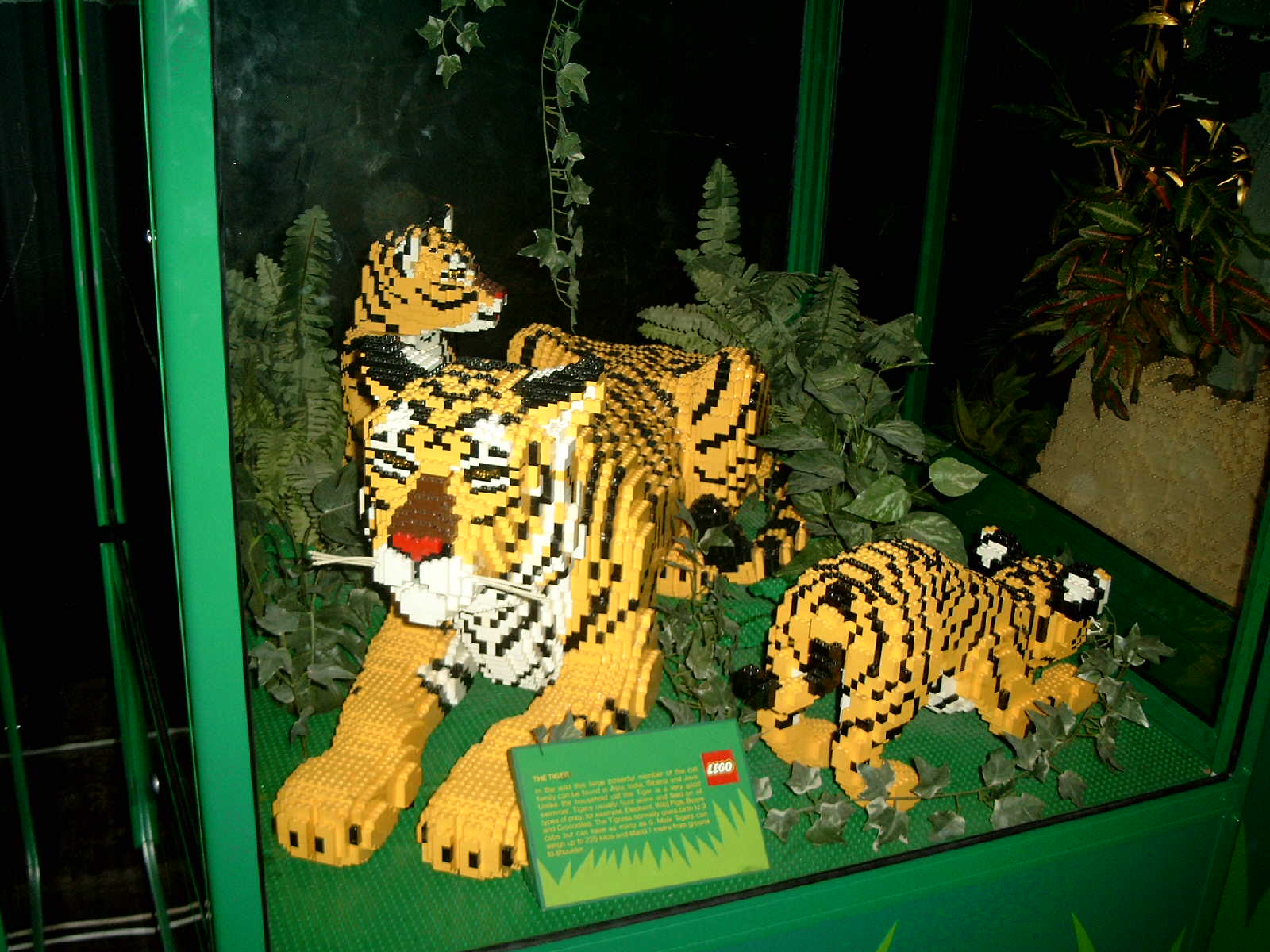 simg0953.jpg