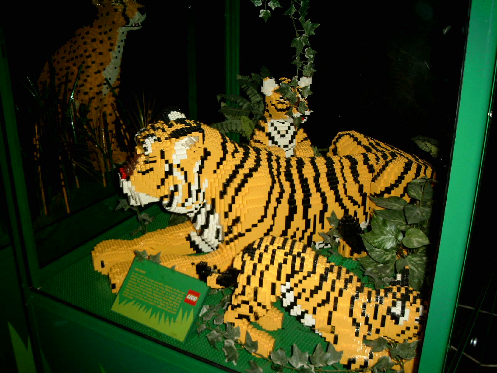 simg0954.jpg