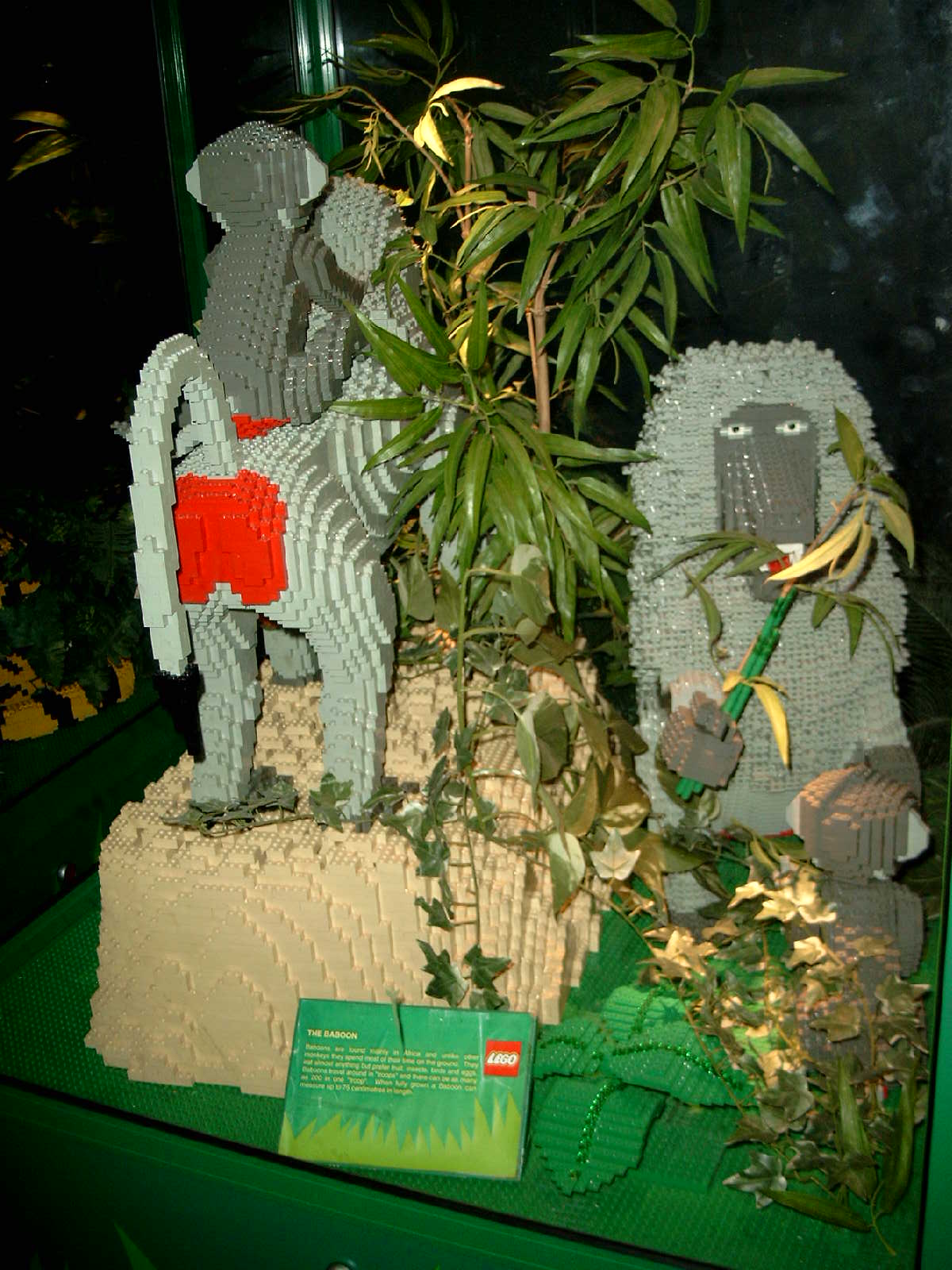simg0955.jpg
