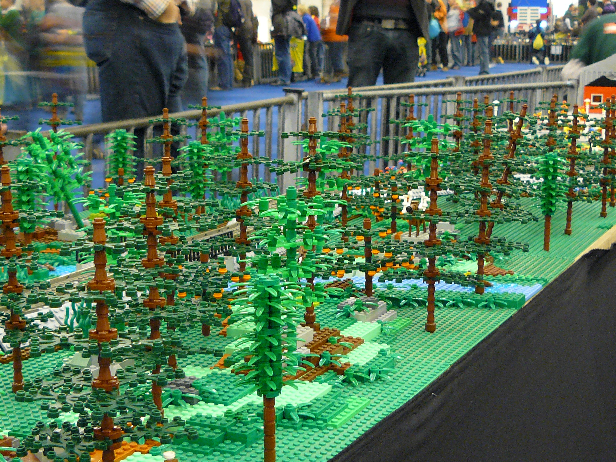 p1040457.jpg