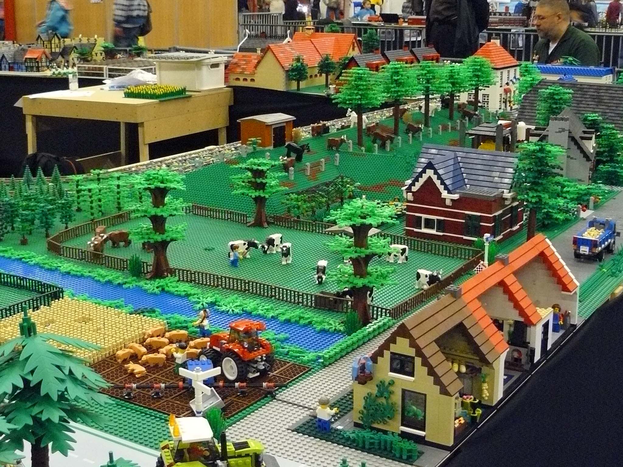 p1040518.jpg