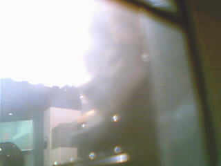 01052770.jpg