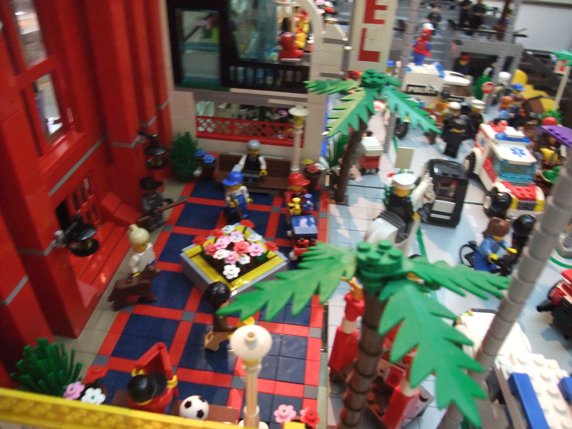 dscf0113.jpg
