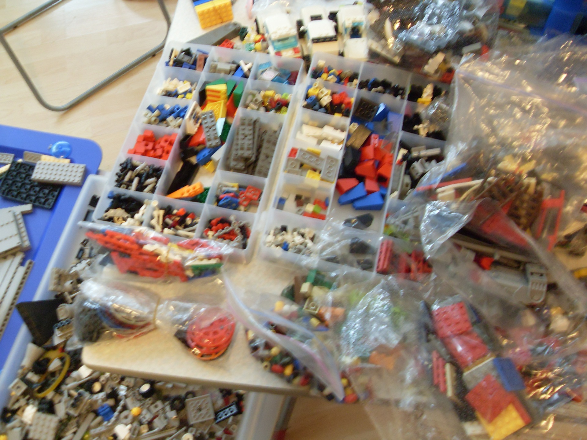 sdc10600.jpg