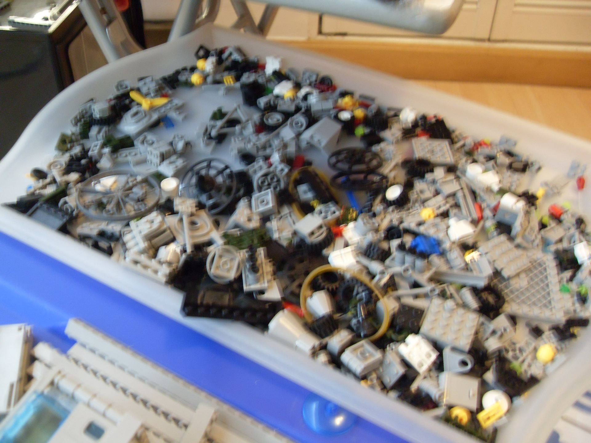 sdc10601.jpg