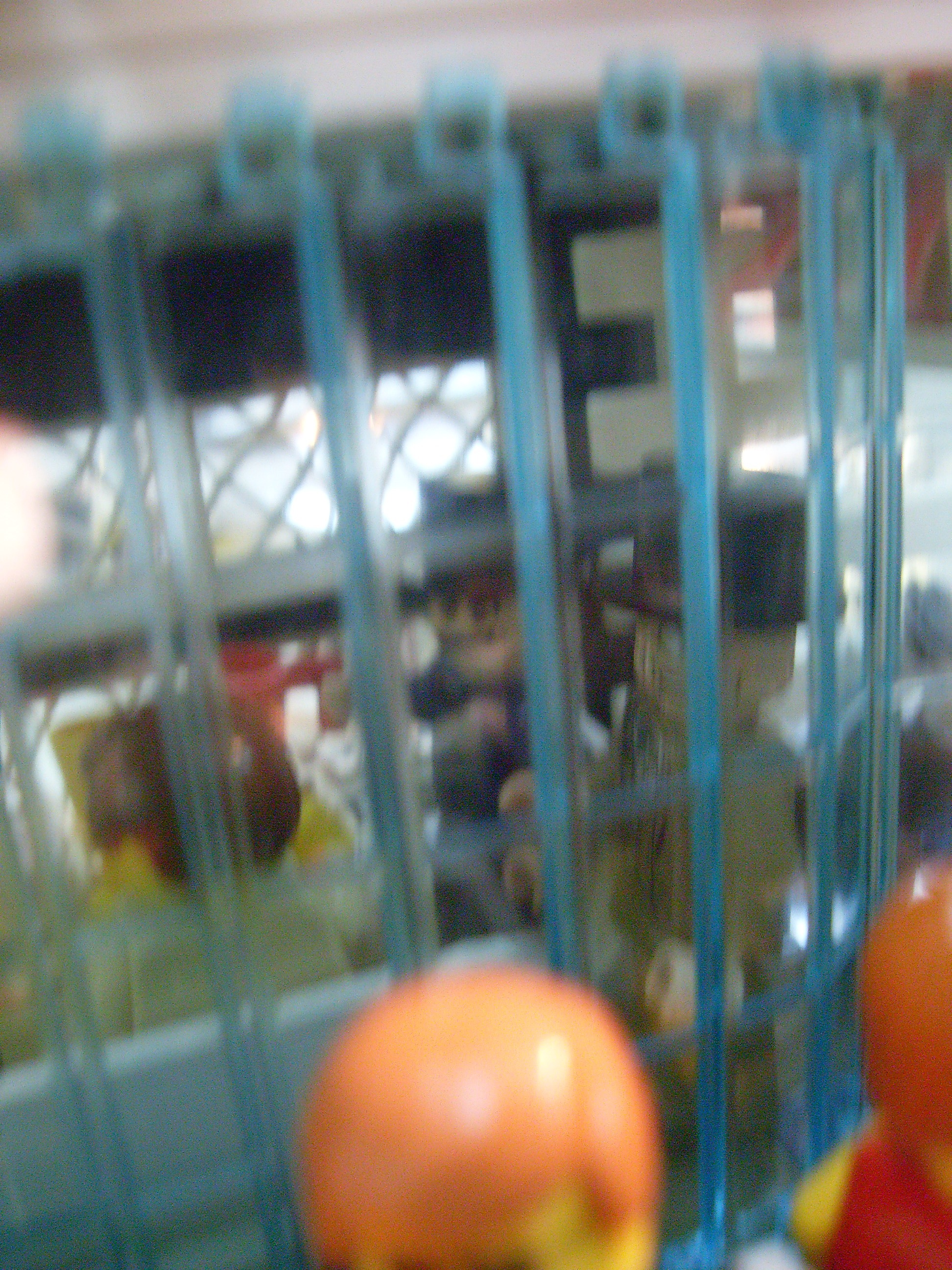 sdc10689.jpg