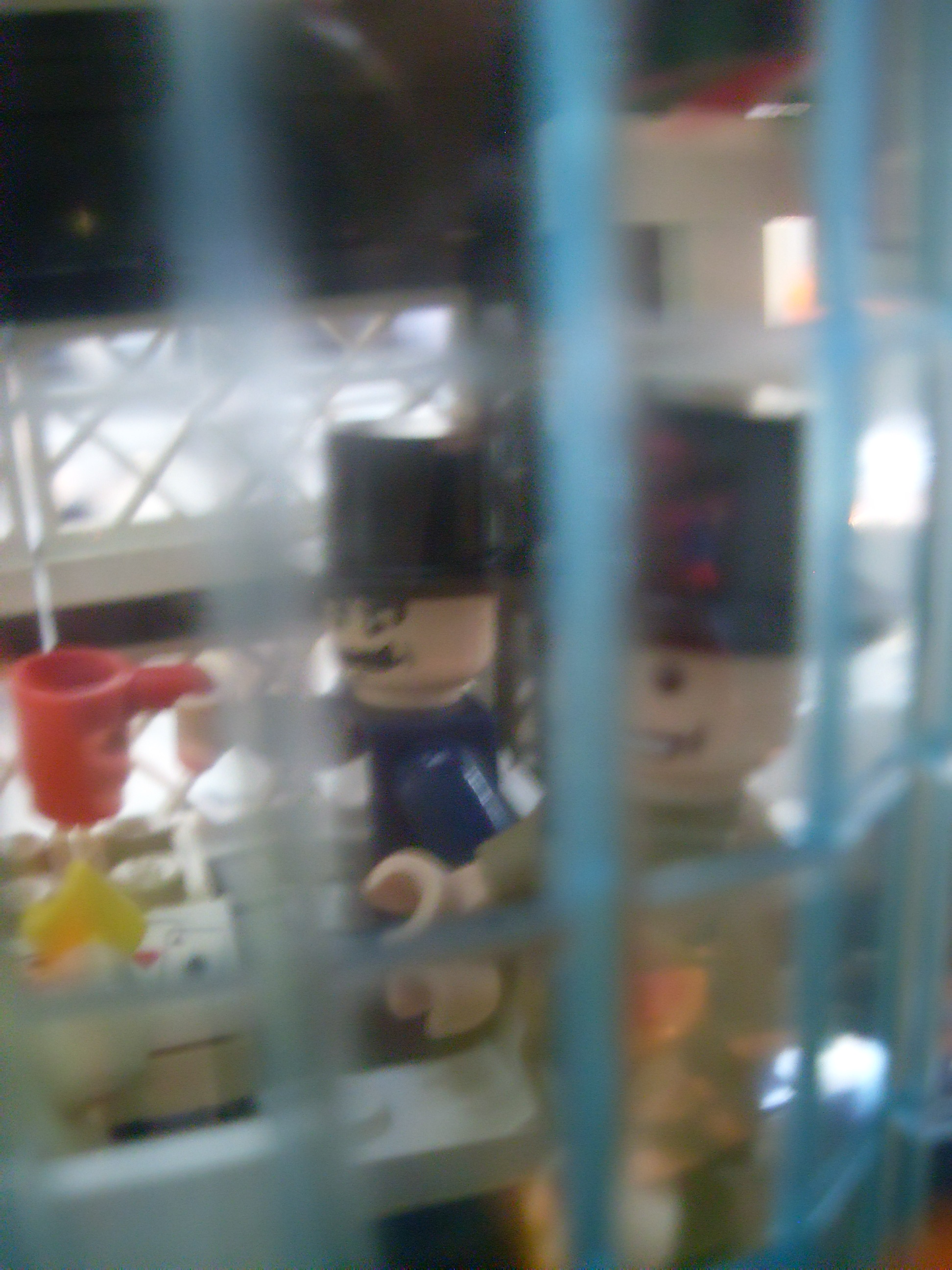 sdc10690.jpg