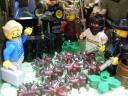 sdc10687.jpg