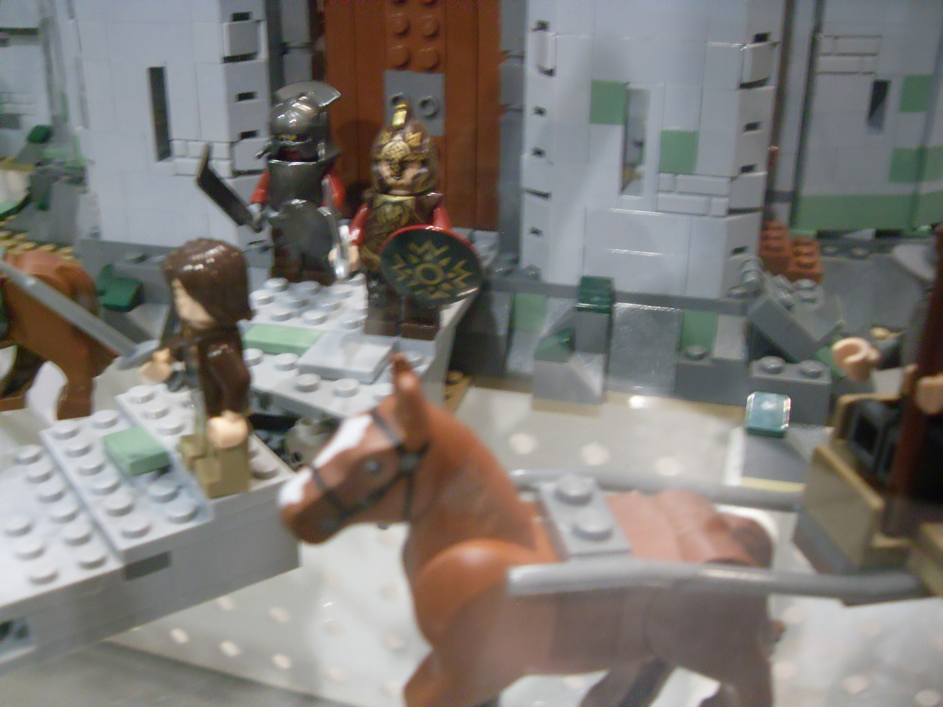 sdc10111.jpg