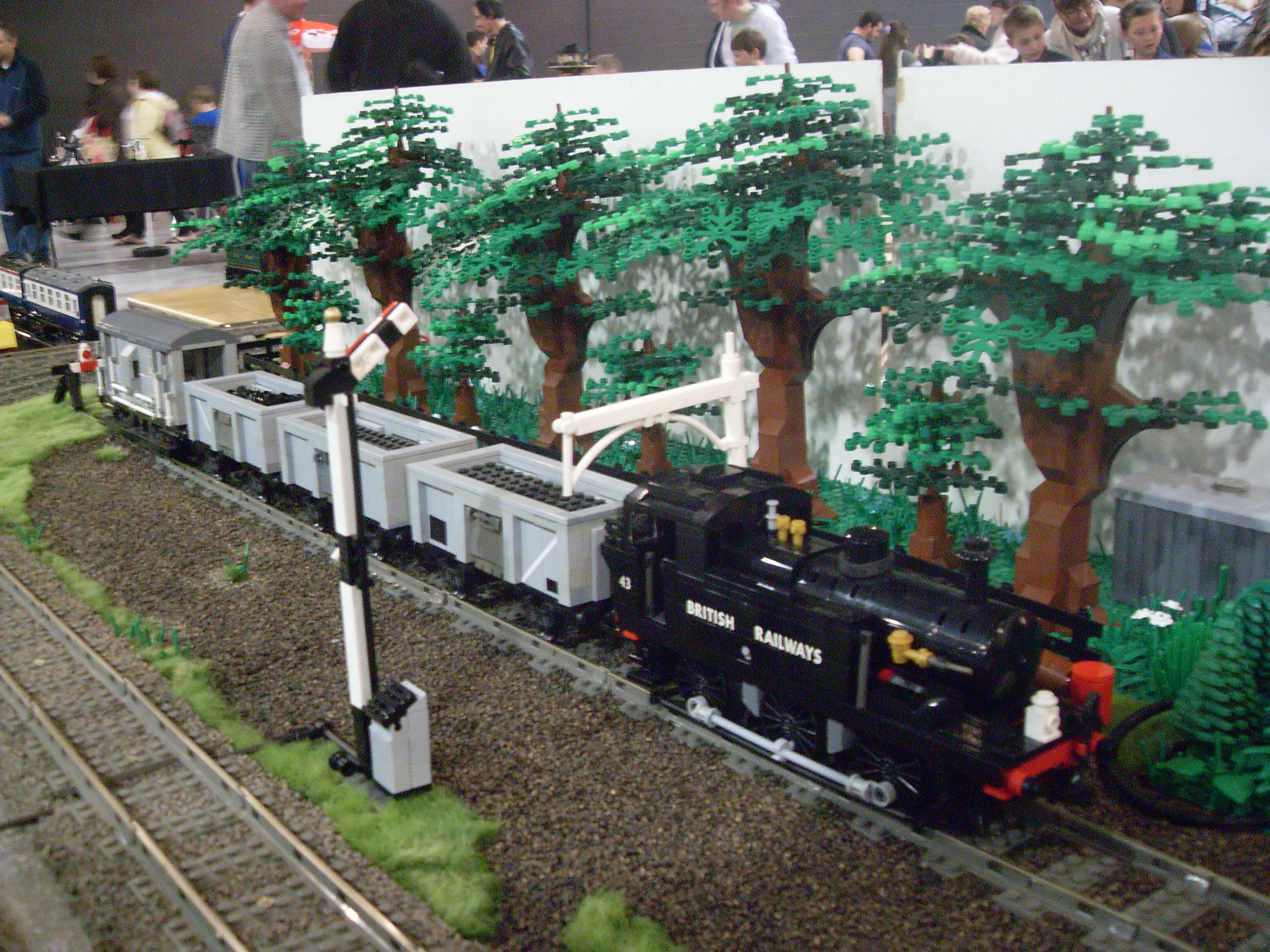 sdc10120.jpg