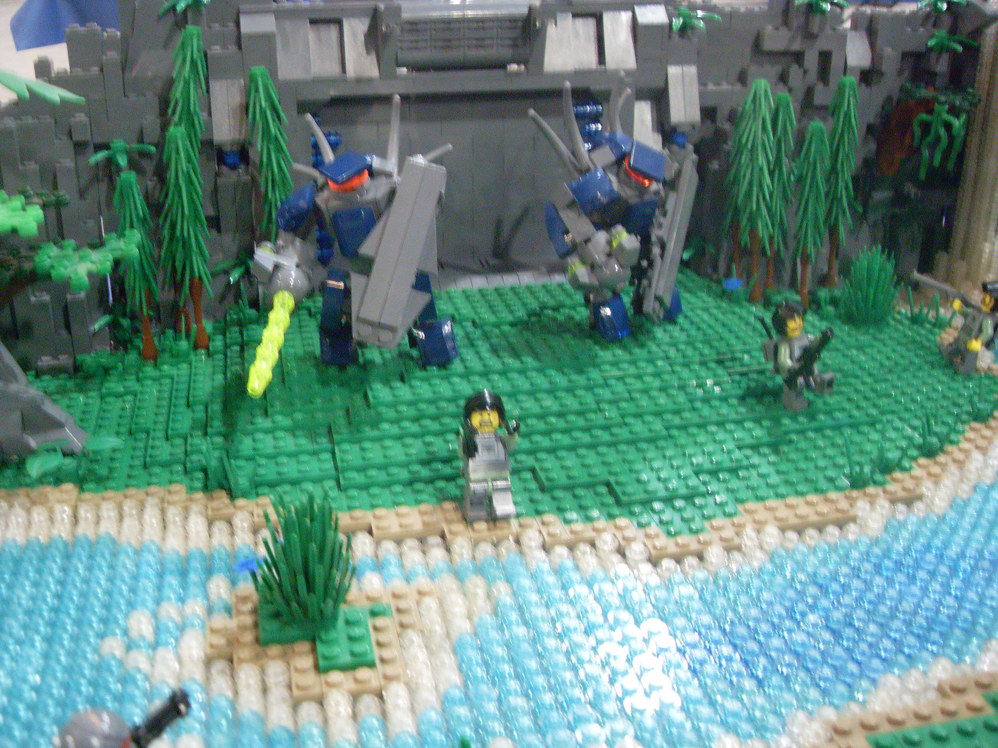sdc10145.jpg