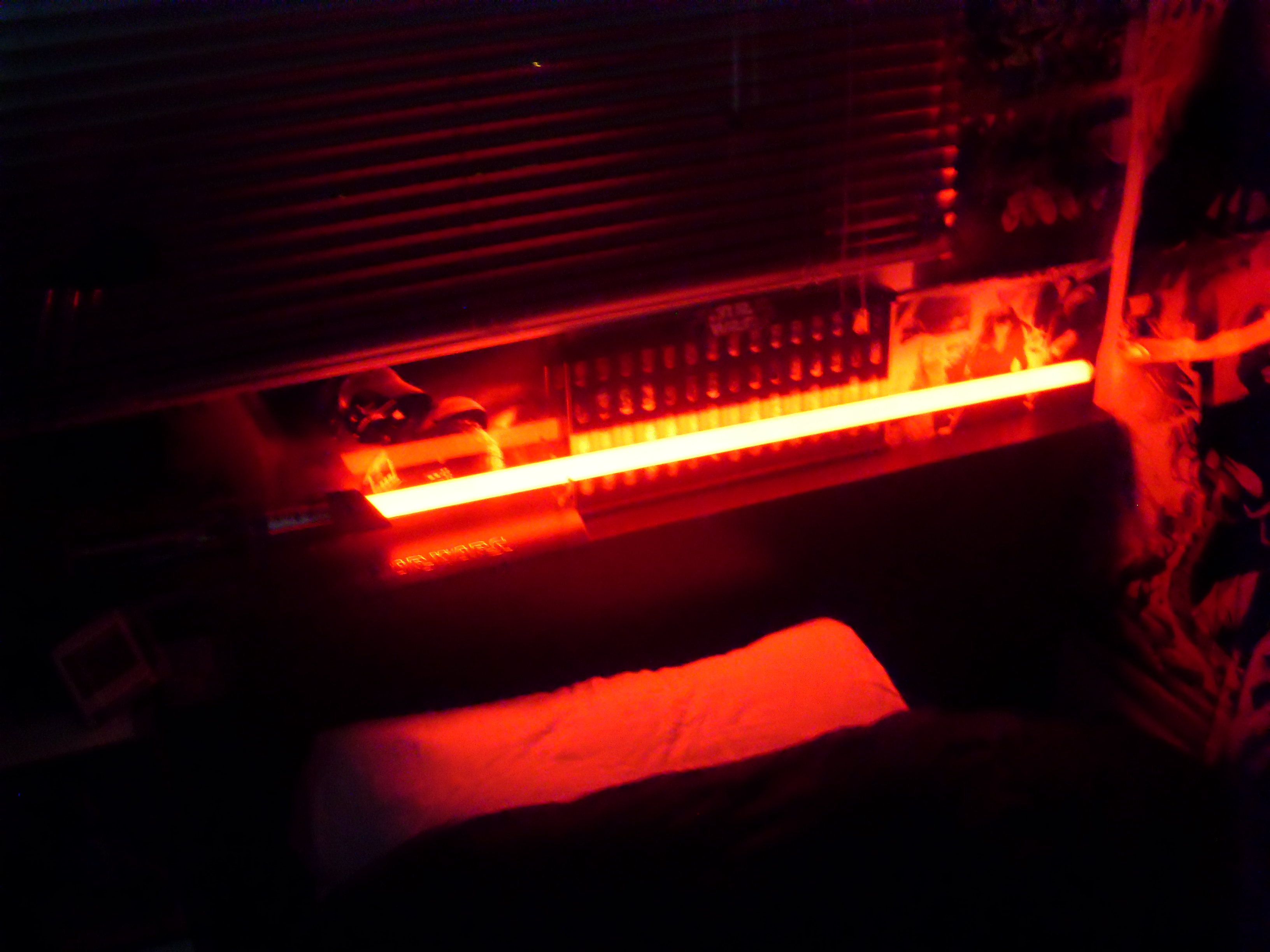 sdc10300.jpg