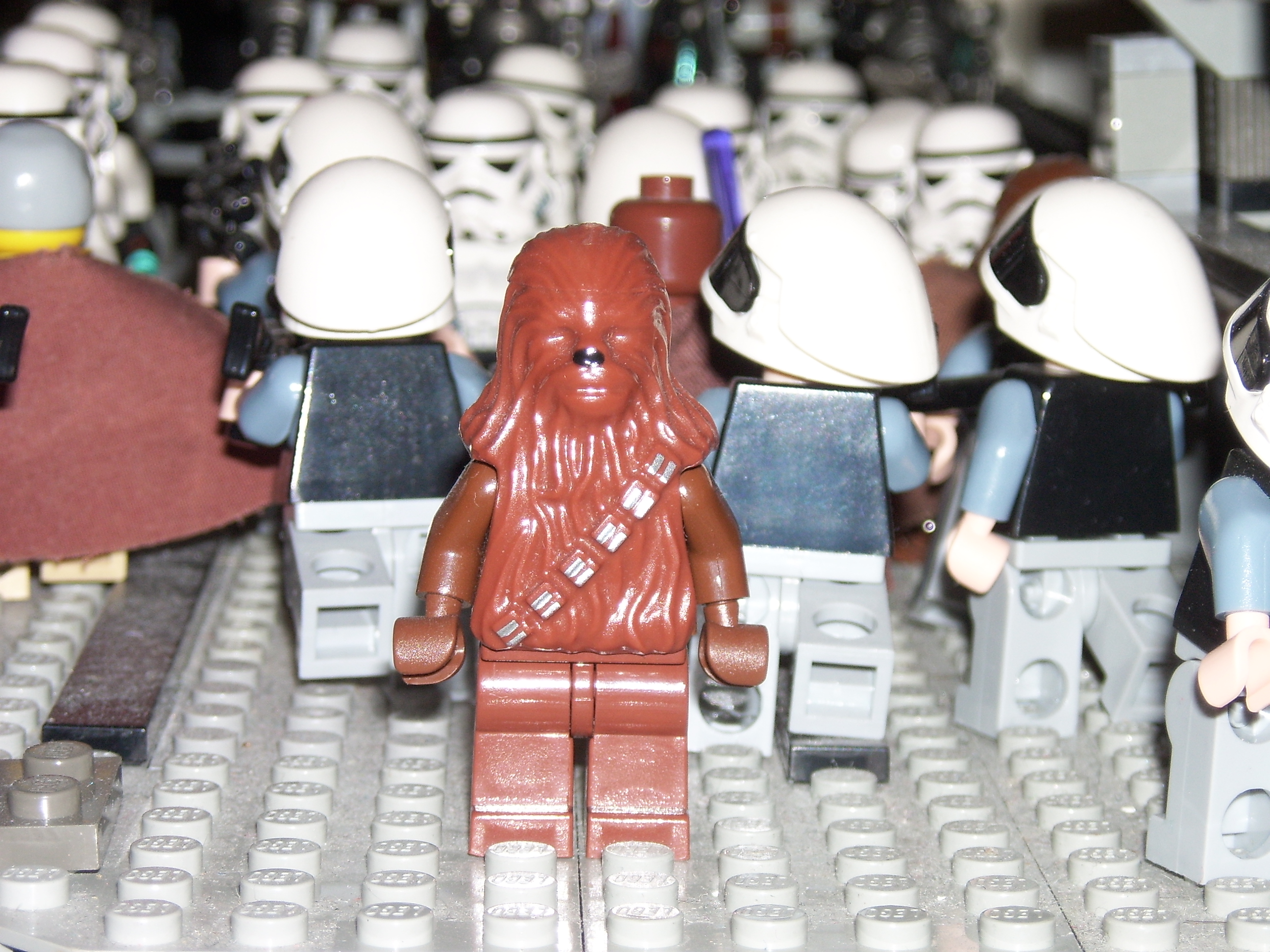 chewbacca.jpg