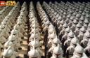 clones2.jpg