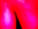 _2allball_img_7774_jpg_output_00748.jpg
