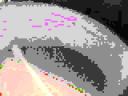 _2allball_img_7774_jpg_output_00849.jpg