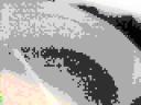 _2allball_img_7774_jpg_output_00850.jpg