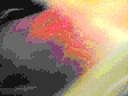 _2allball_img_8913_jpg_output_00484.jpg
