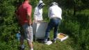 bees_-_15.jpg
