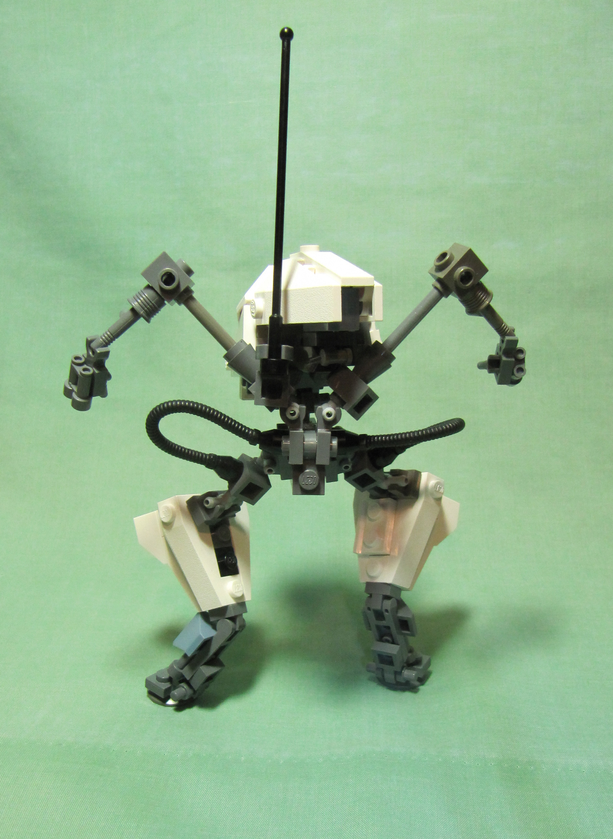 raven3.jpg