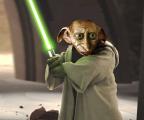 yoda_n_dobby.jpg