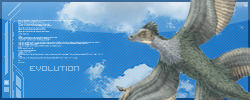 evolution.png
