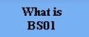banner_bottom_two.jpg