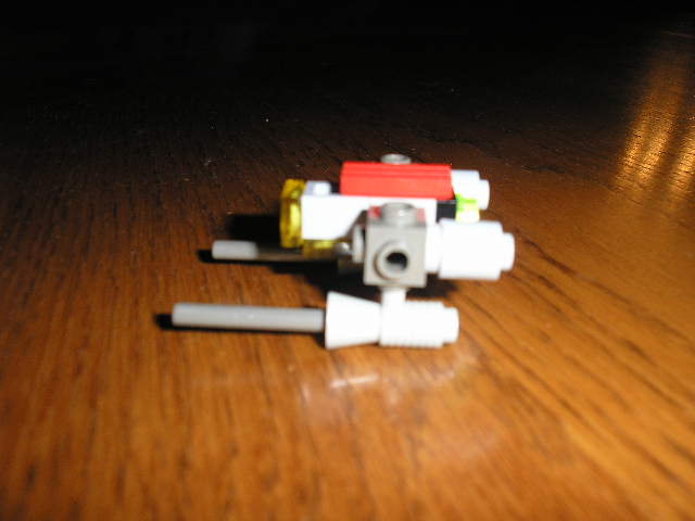 02_fayes_red_tail_side.jpg