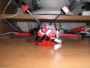 crimson_wasp_2_back.jpg