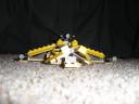 hellcat_gold_front.jpg